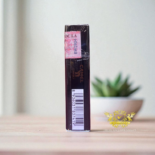 Camel Compact Caster