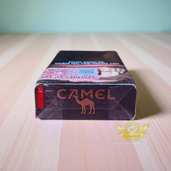 Camel Compact Caster