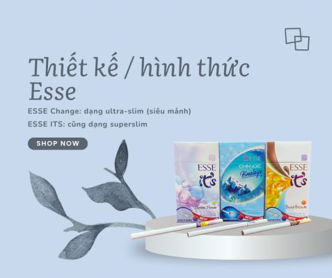 So Sánh ESSE Change và ESSE ITS