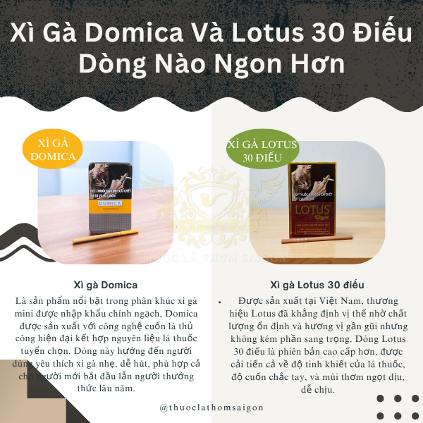 xì gà lotus 30 điếu