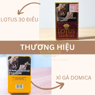 xì gà lotus 30 điếu