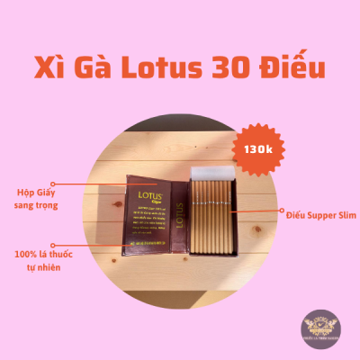 xì gà lotus 30 điếu