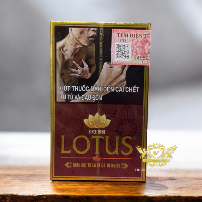 Xì gà Lotus 30 điếu chính hãng