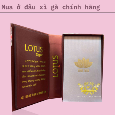 Xì gà Lotus 30 điếu chính hãng