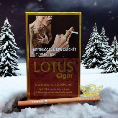 Xì gà Lotus 30 điếu chính hãng
